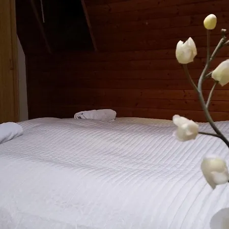 Vital Apartamento
